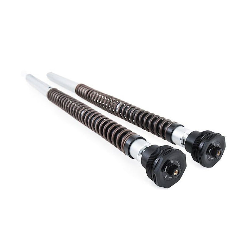 Suzuki SV 650 (Gen 2) Ohlins FKS 232 NIX 22 Fork Cartridge Kit (03-14)